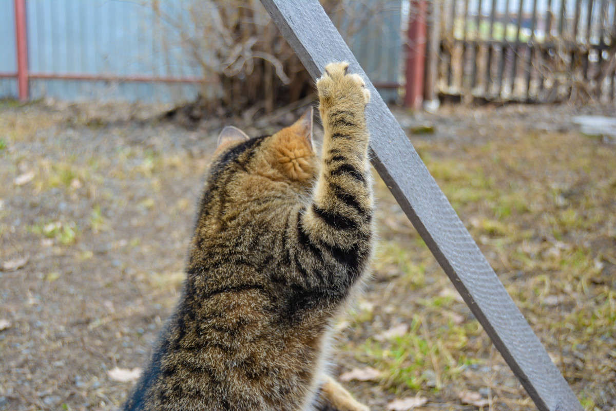 ����� ������ ����� ����� ����� �� PhotoGeek.ru #�������� ��� #�������� ���������� #�������� ��� #���������������