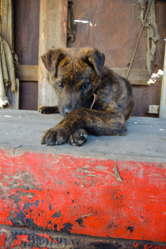 ��� ����� � ���� ����� ����� ����� ����� �� PhotoGeek.ru #�������� ��� #�������� ���������� #�������� ��� #���������������