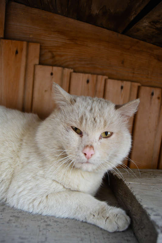 �����,������ ���. ����� ����� ����� �� PhotoGeek.ru #�������� ��� #�������� ���������� #�������� ��� #���������������