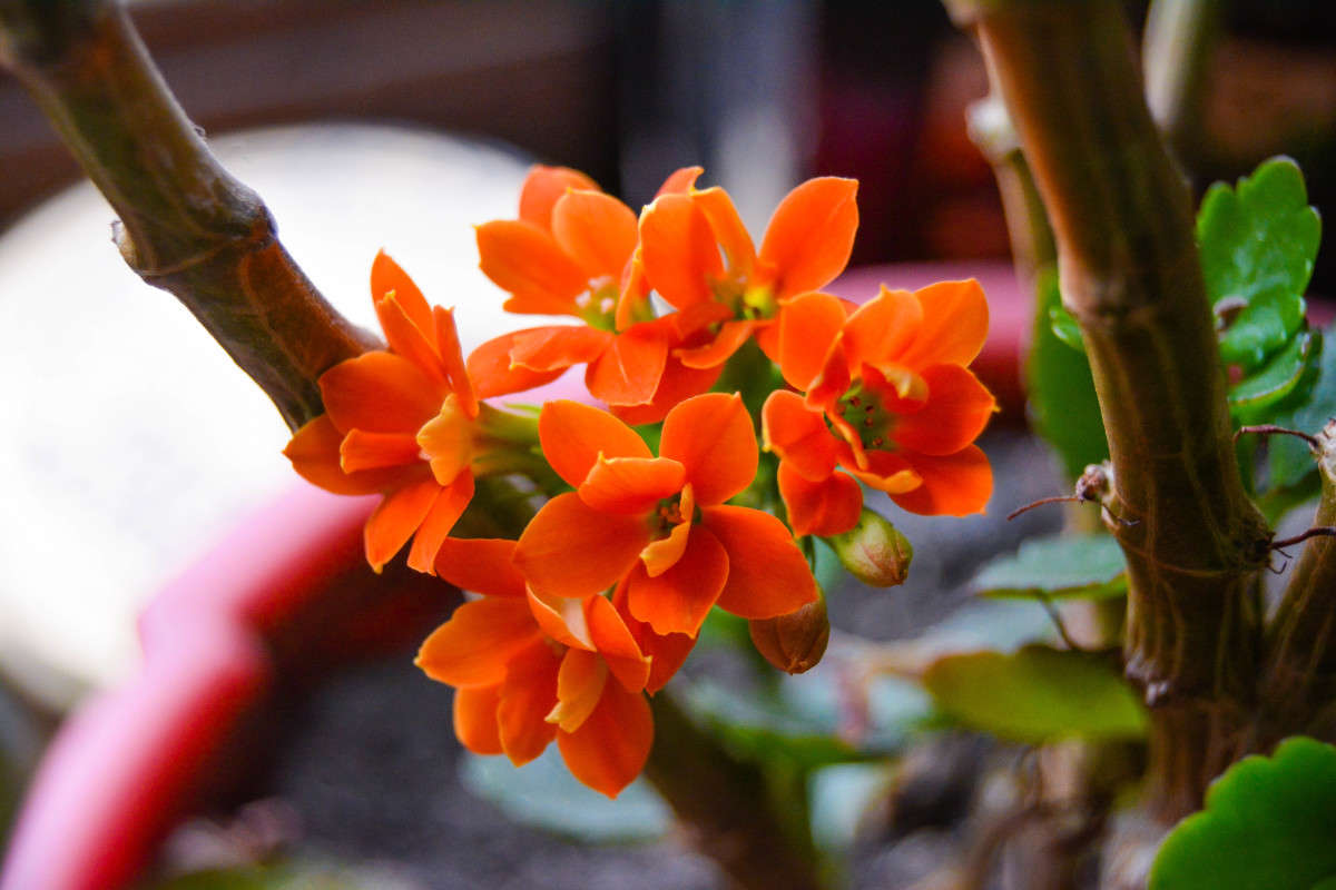 �������� ����� ����� ����� �� PhotoGeek.ru #����� #�������� ���������� #����� �������������� #���������������