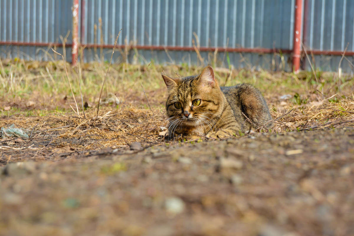 ������� ����� ����� ����� �� PhotoGeek.ru #�������� ��� #�������� ���������� #�������� ��� #���������������