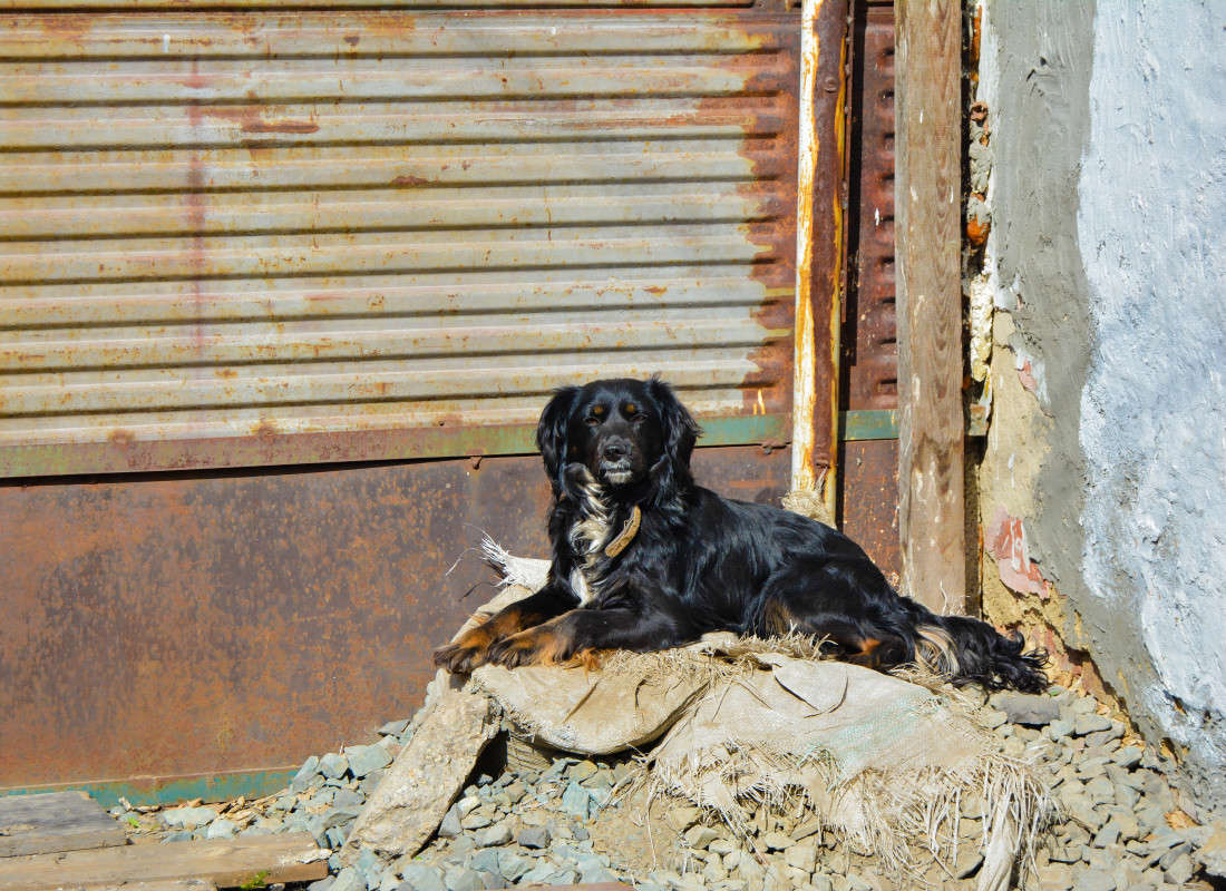 �� ������ ������� ����� ����� ����� �� PhotoGeek.ru #�������� ��� #�������� ���������� #�������� ��� #���������������