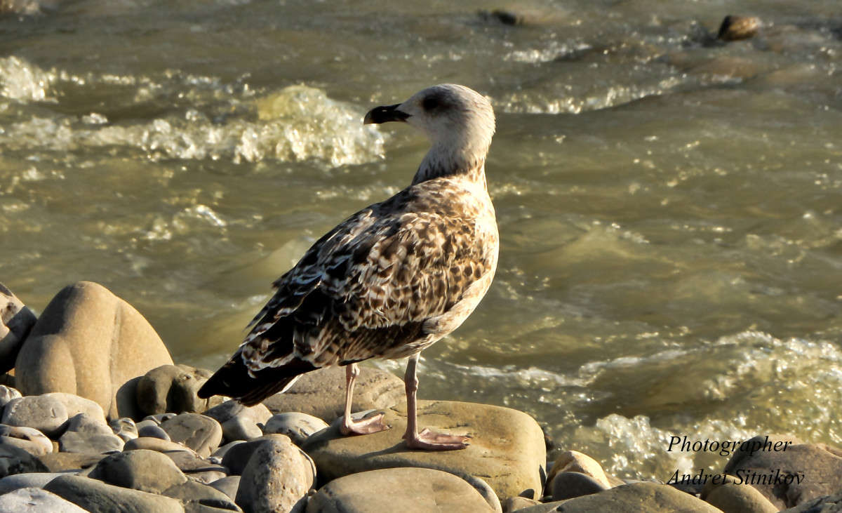 ����� ����� ������ �������� �� PhotoGeek.ru #�������� ��� #������ ��� ������� #����� ��� ��� ���������