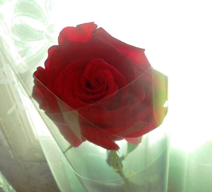 ���� ������ ����������... ����� ����� Goldmen �� PhotoGeek.ru #�������� ����������