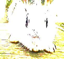 ... ����� ����� Goldmen �� PhotoGeek.ru #�������� ����������