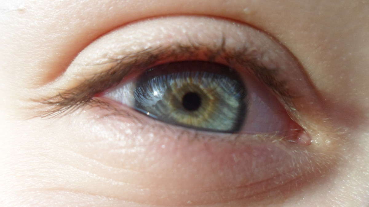 �������  ���� ����� ����� Goldmen �� PhotoGeek.ru #�������� ����������