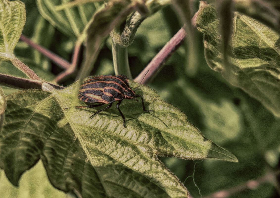 ������ ����� ����  �� PhotoGeek.ru #�����