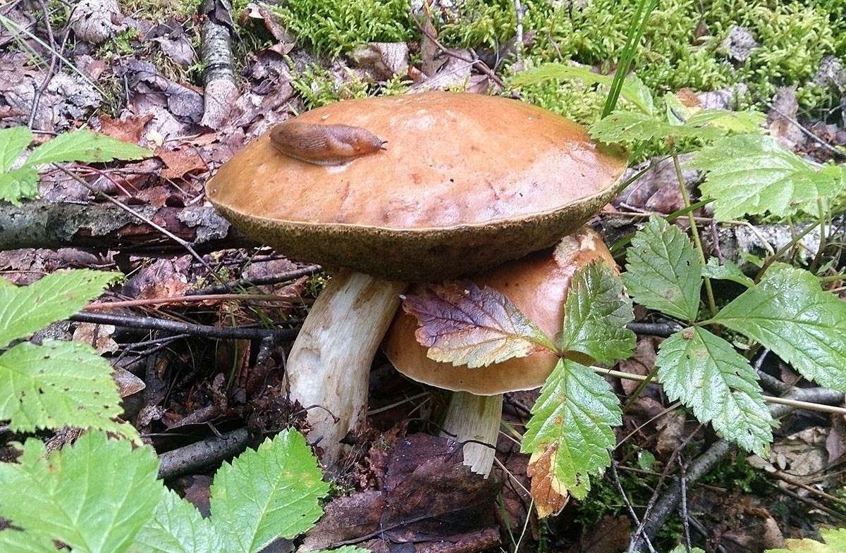 �������� ����� ����  �� PhotoGeek.ru #������ ��� ������� #����� ��������������