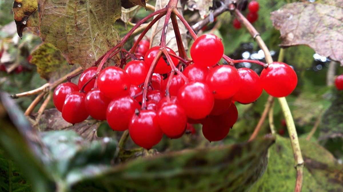 ������ ����� ����  �� PhotoGeek.ru #����� ��������������