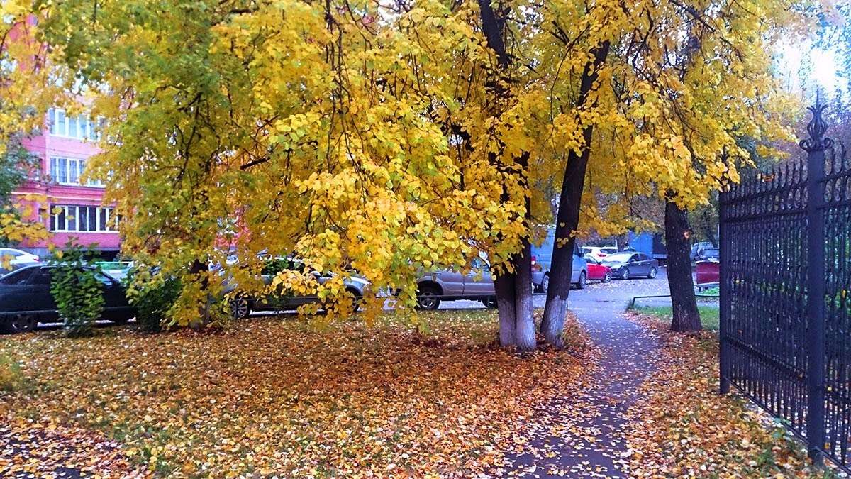 �� ����� ����� ����  �� PhotoGeek.ru #������ ��� �������