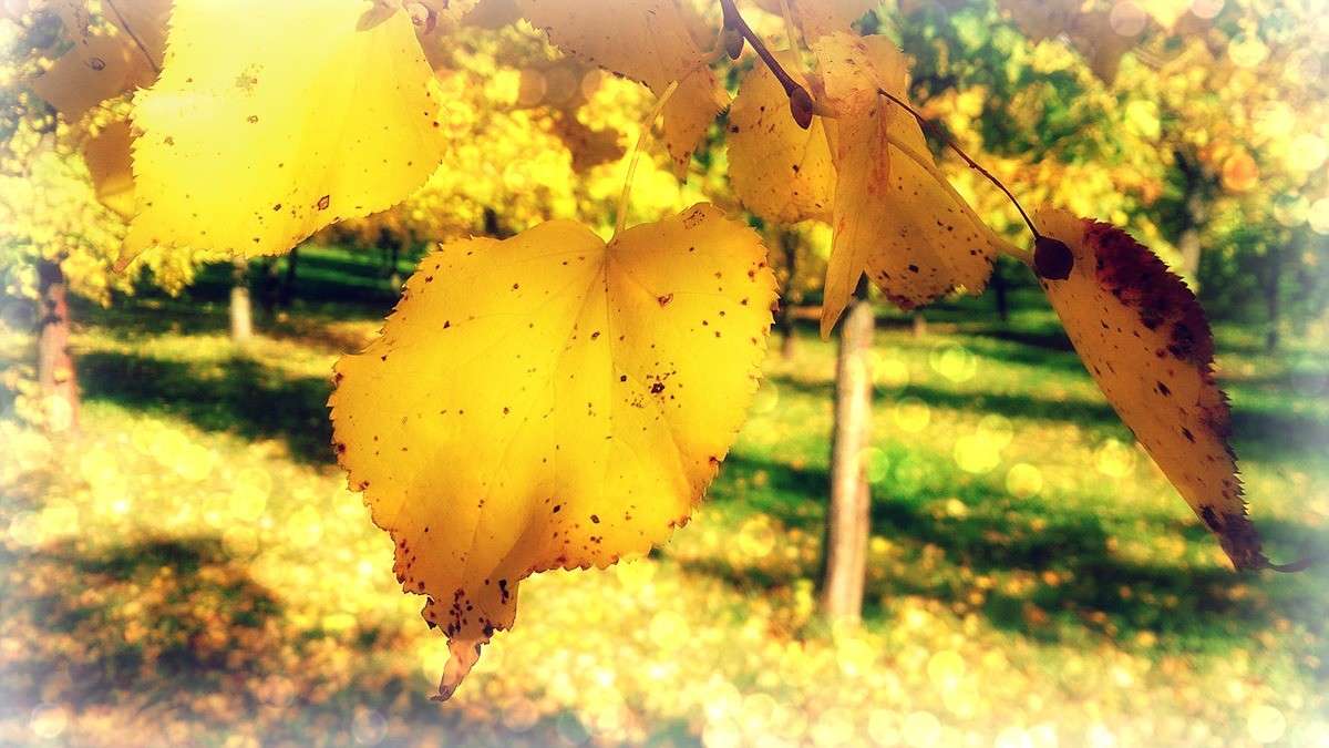 ������ ���� ������� ����� ����  �� PhotoGeek.ru #������ ��� �������