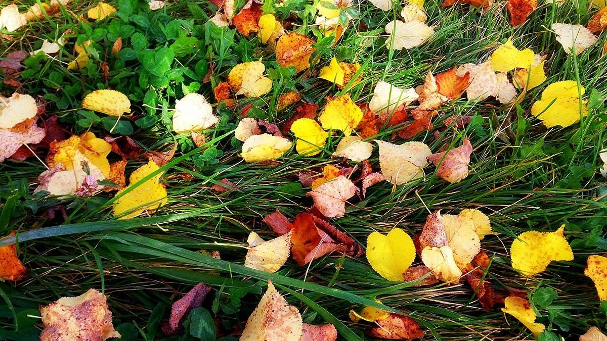 ������ ����� ����� ����  �� PhotoGeek.ru #������ ��� �������