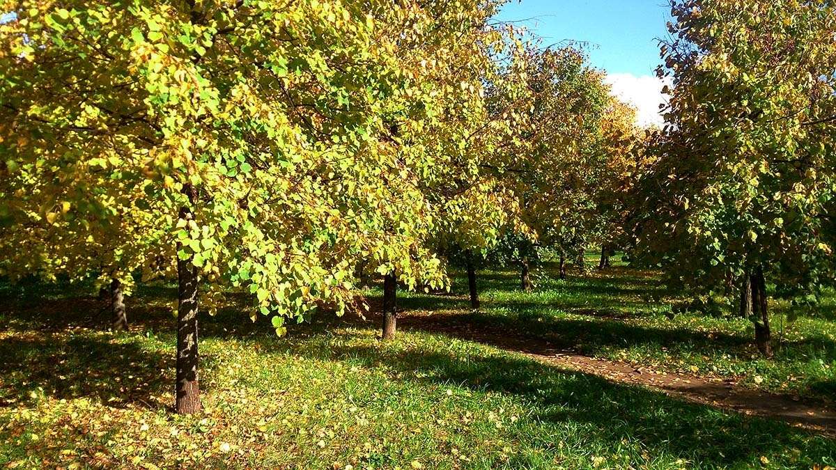 � ����� ����� ����  �� PhotoGeek.ru #������ ��� �������