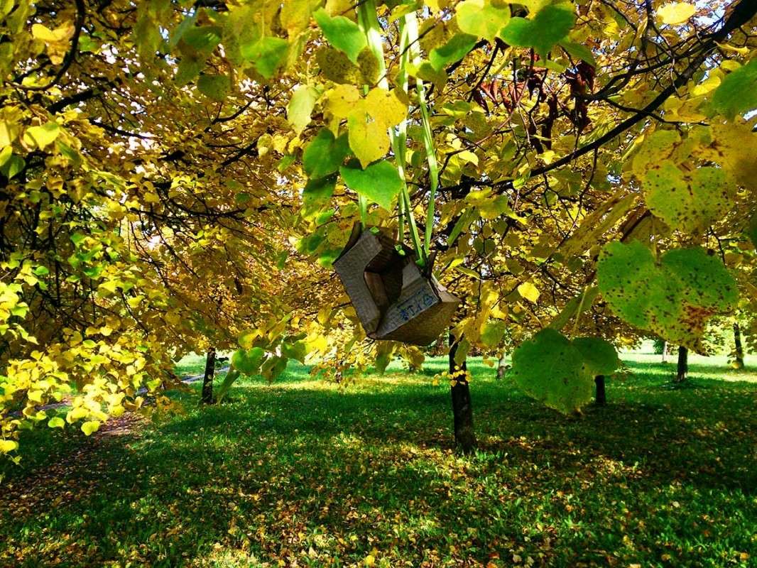 �������� ����� ����  �� PhotoGeek.ru #������ ��� �������