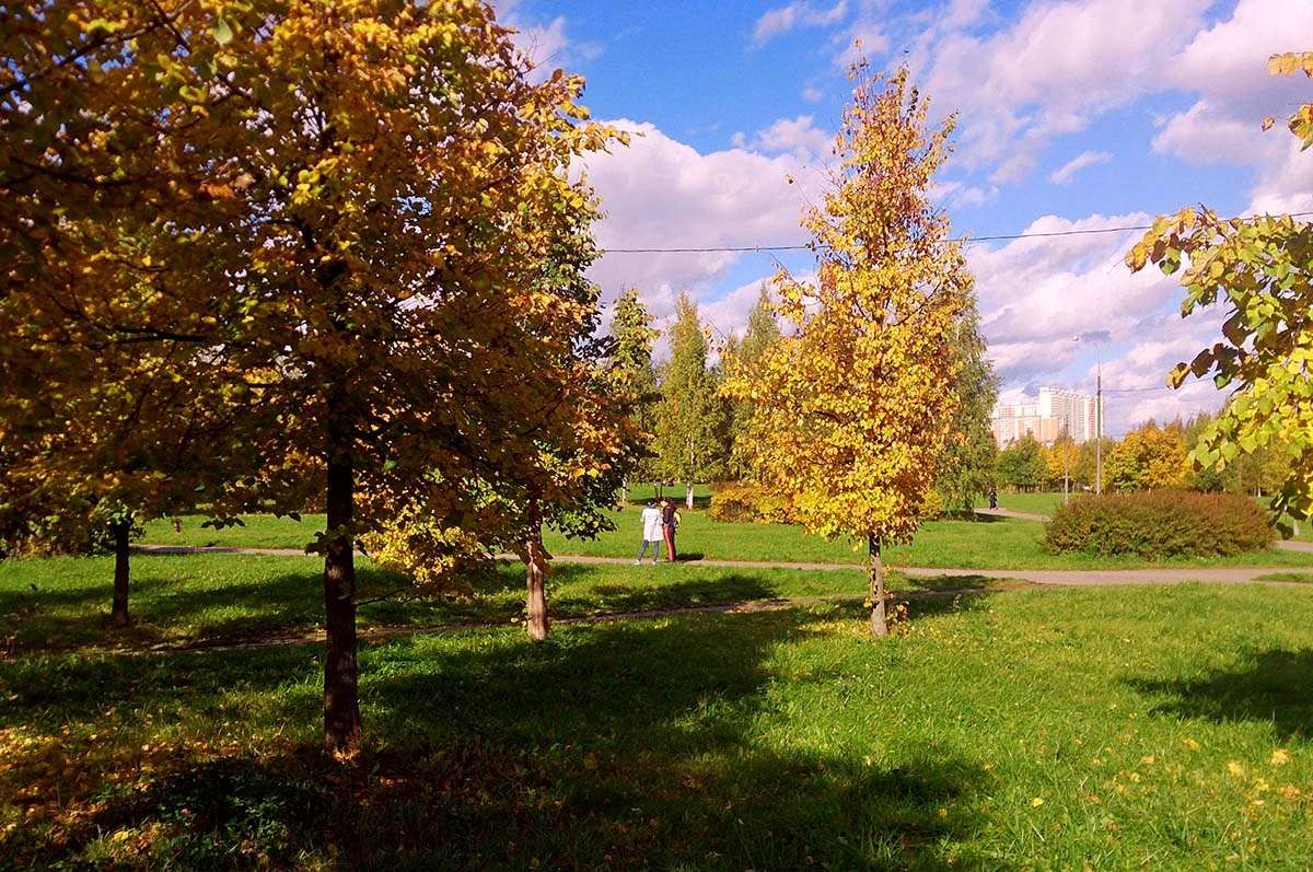 �������� ����� ����  �� PhotoGeek.ru #������ ��� �������