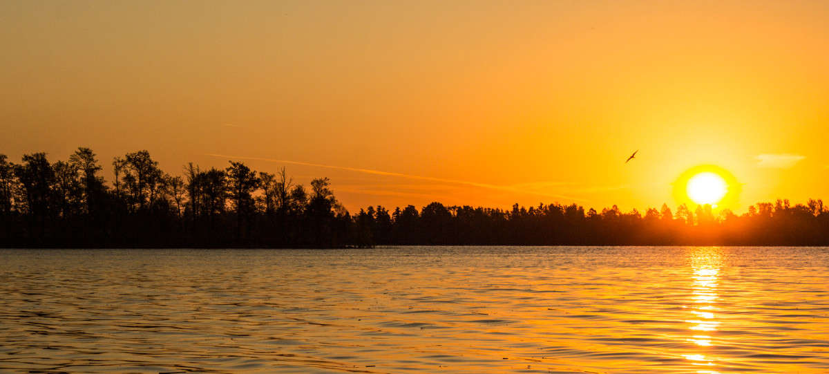 ... ����� Denis Sharkov �� PhotoGeek.ru #����� #������ ��� �������