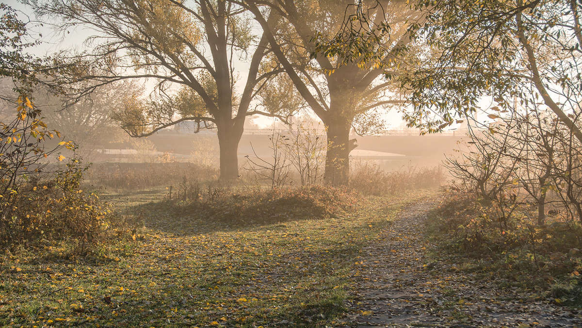 ... ����� Stanislav Picoon �� PhotoGeek.ru #������ ��� �������