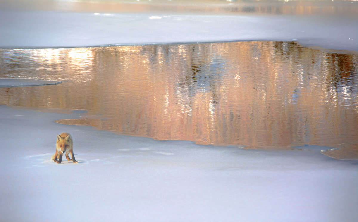 ... ����� Stanislav Picoon �� PhotoGeek.ru #������ ��� �������