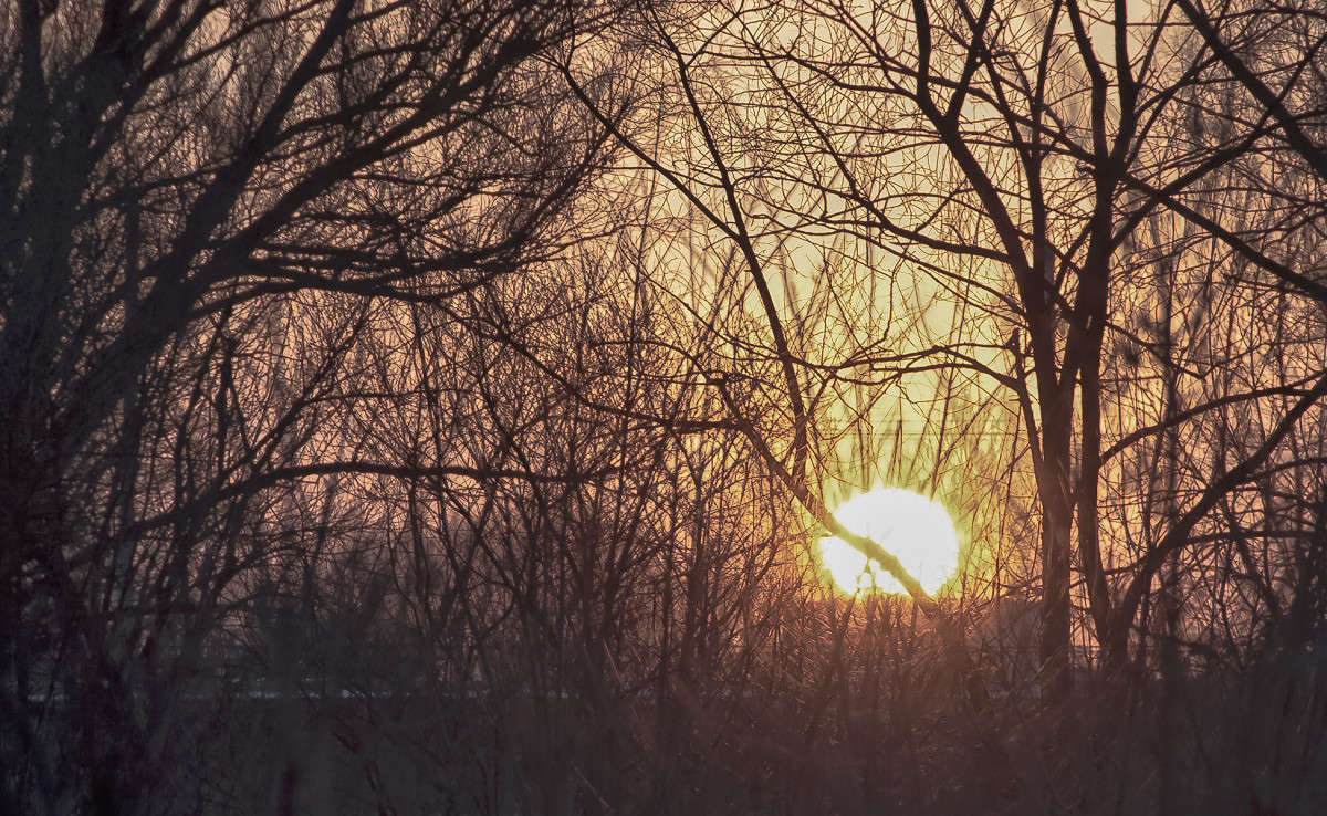 ... ����� Stanislav Picoon �� PhotoGeek.ru #������ ��� �������