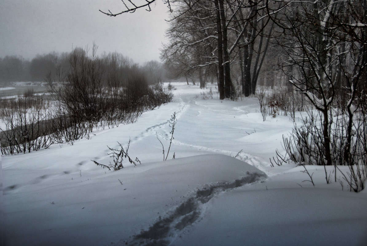 ... ����� Stanislav Picoon �� PhotoGeek.ru #������ ��� �������