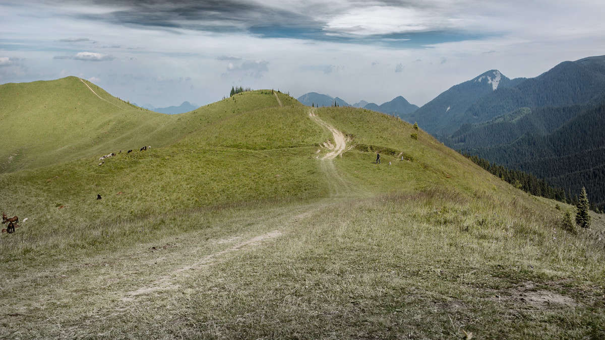 ... ����� Stanislav Picoon �� PhotoGeek.ru #������ ��� �������