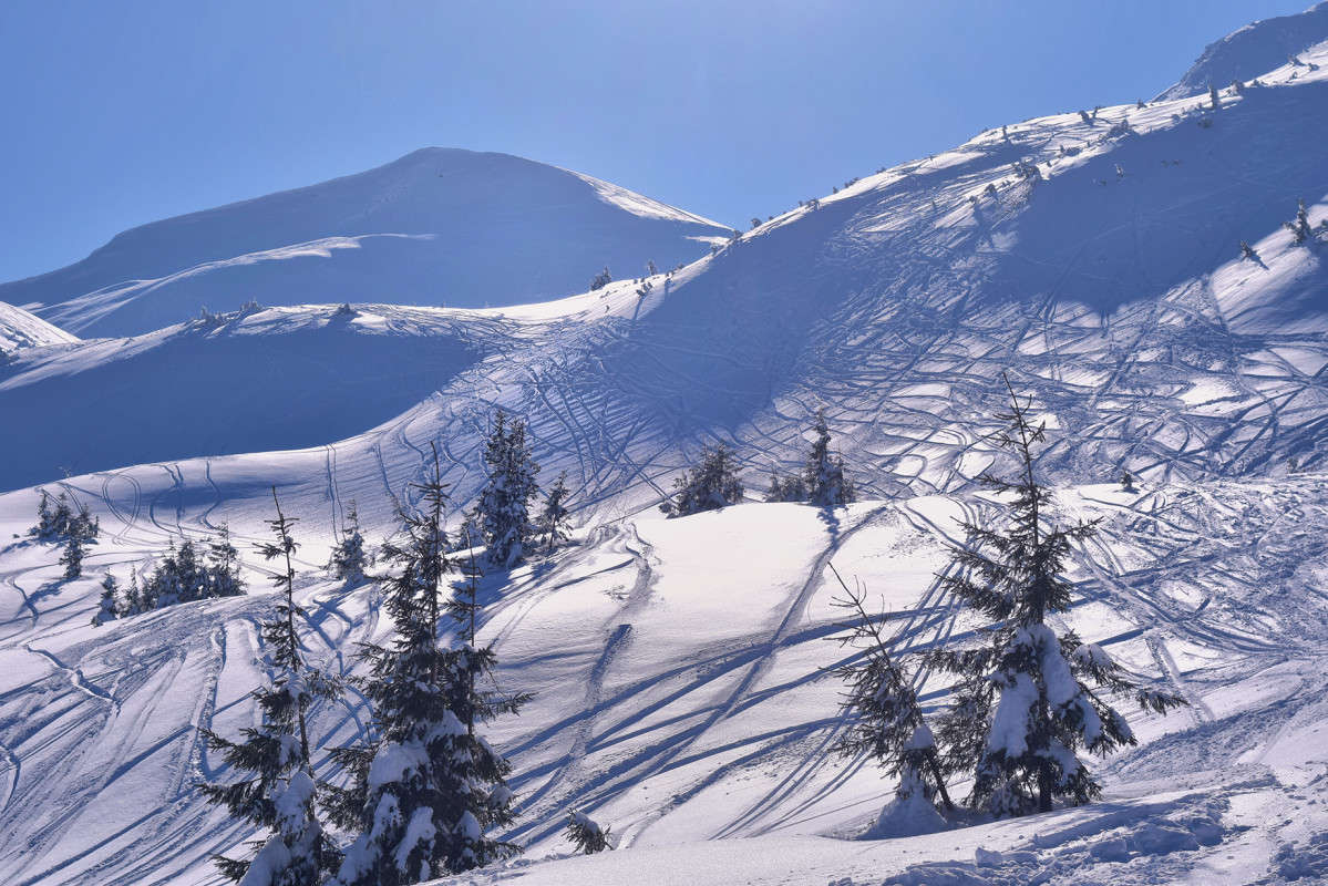 ... ����� Stanislav Picoon �� PhotoGeek.ru #������ ��� �������