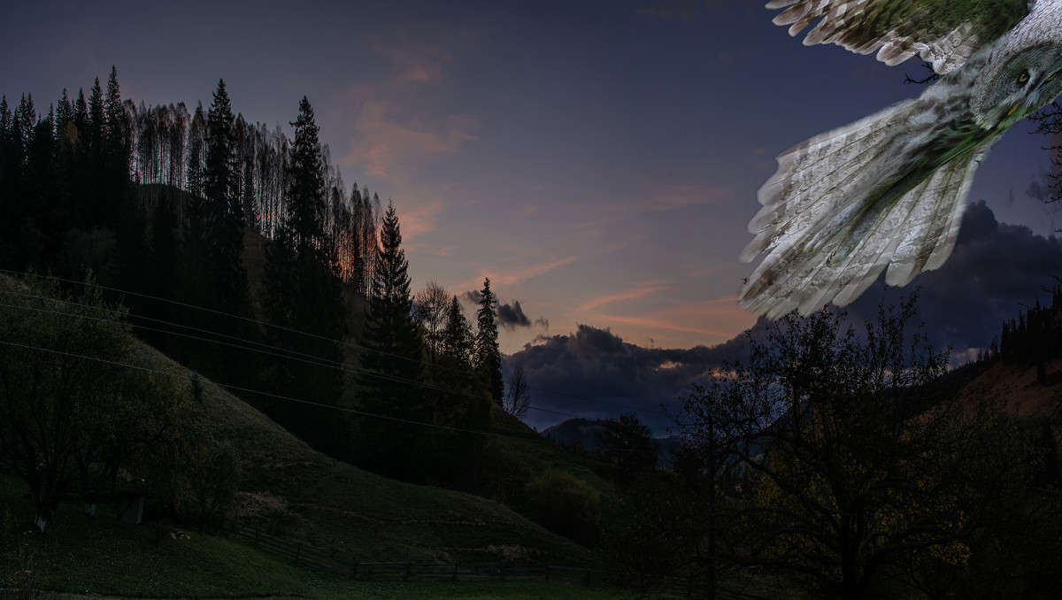 ... ����� Stanislav Picoon �� PhotoGeek.ru #������ ��� �������