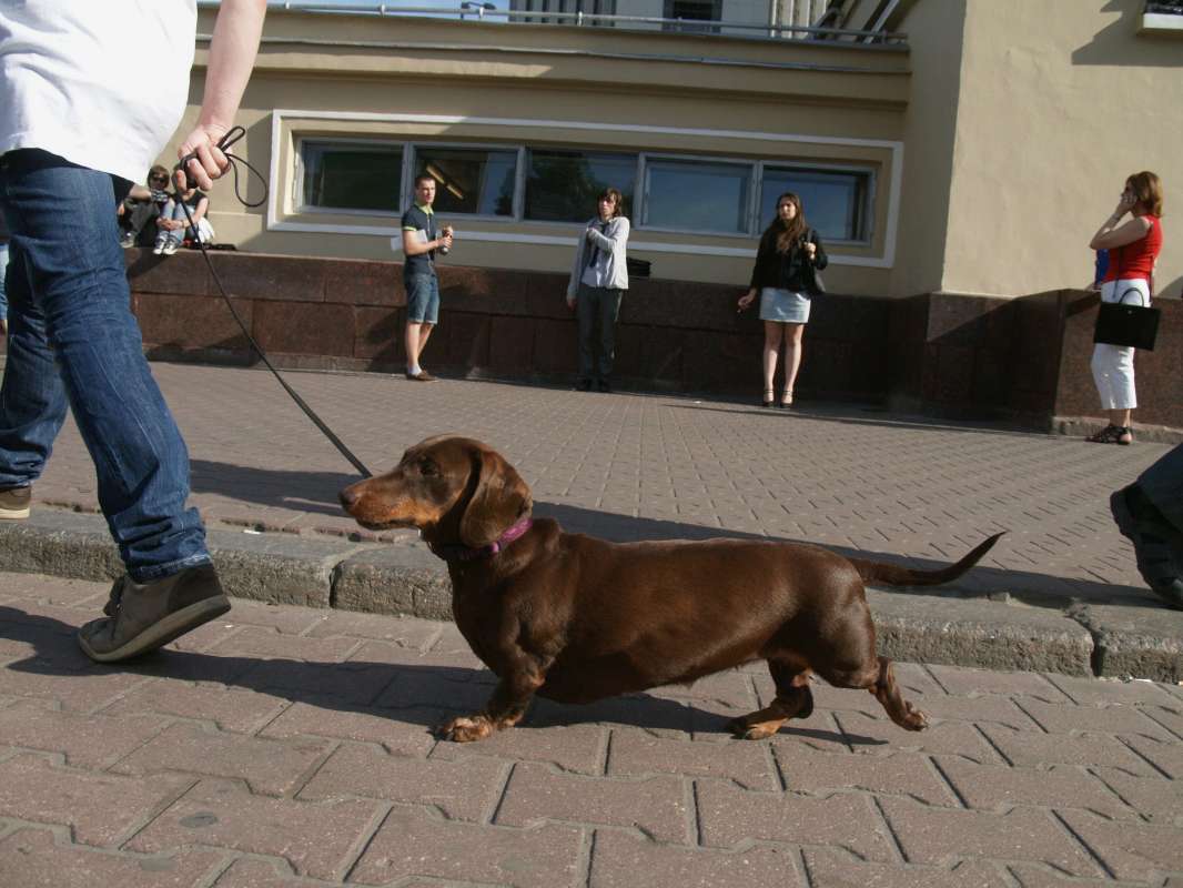 ����� � ����� ����� ������ ��������� �� PhotoGeek.ru #�������� ����������