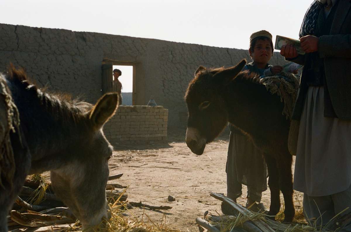 ����� �� ����� ����� ������ ��������� �� PhotoGeek.ru #�������� #�������������� ����