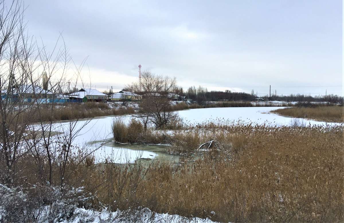 ... ����� ������� �������� �� PhotoGeek.ru #������ ��� �������