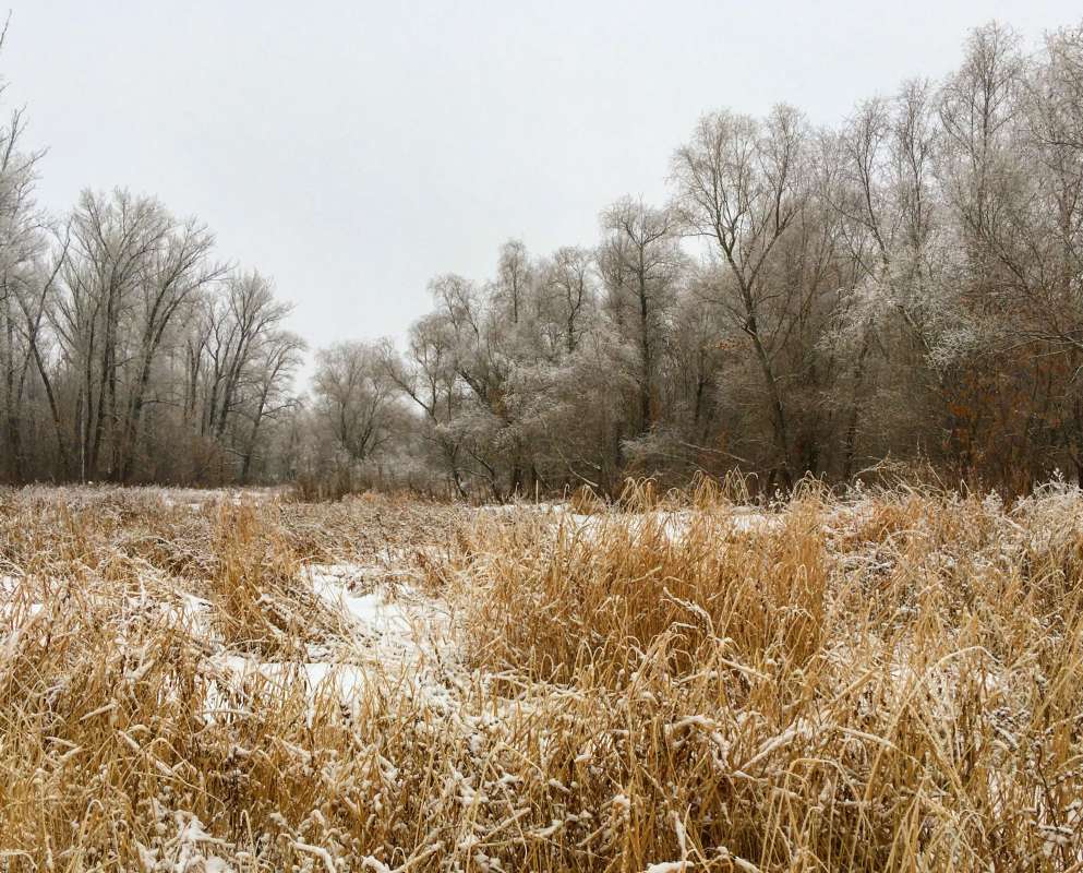 ... ����� ������� �������� �� PhotoGeek.ru #������ ��� �������