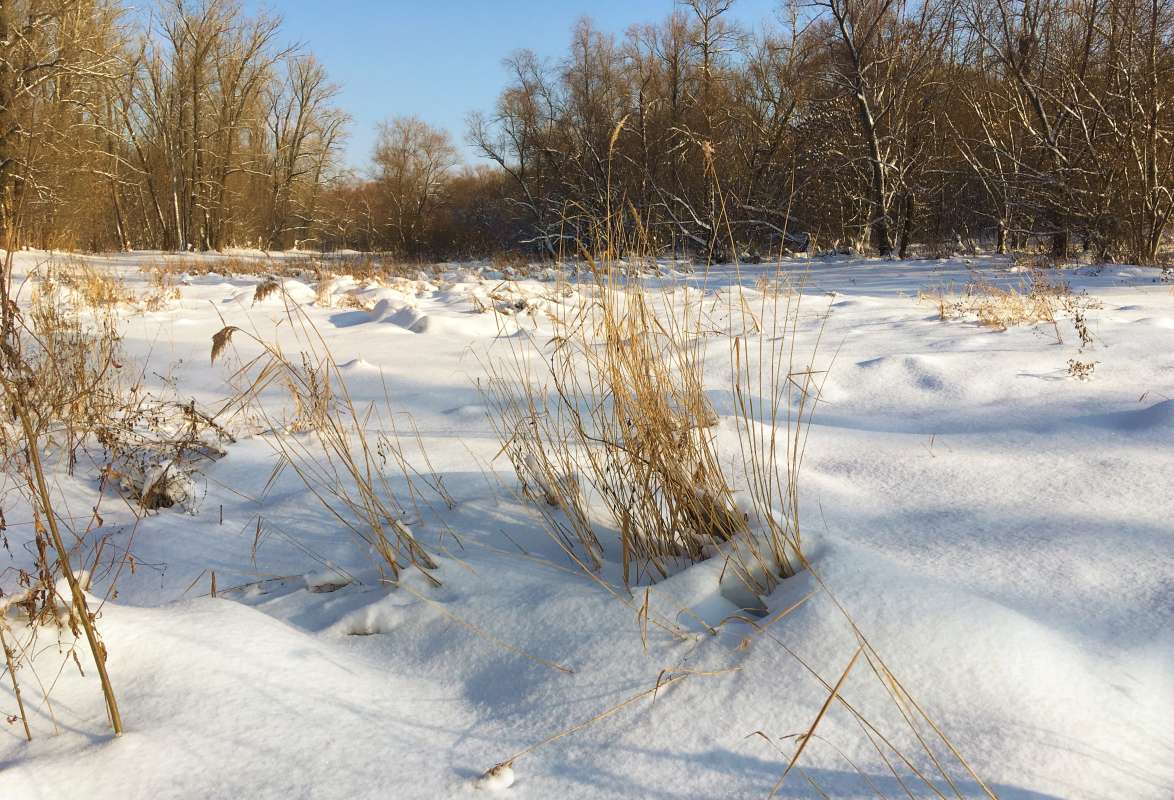 ... ����� ������� �������� �� PhotoGeek.ru #������ ��� �������