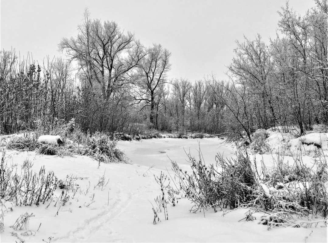 ... ����� ������� �������� �� PhotoGeek.ru #������ ��� �������