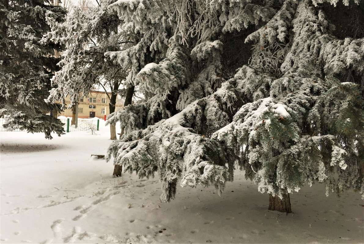 ... ����� ������� �������� �� PhotoGeek.ru #������ ��� �������