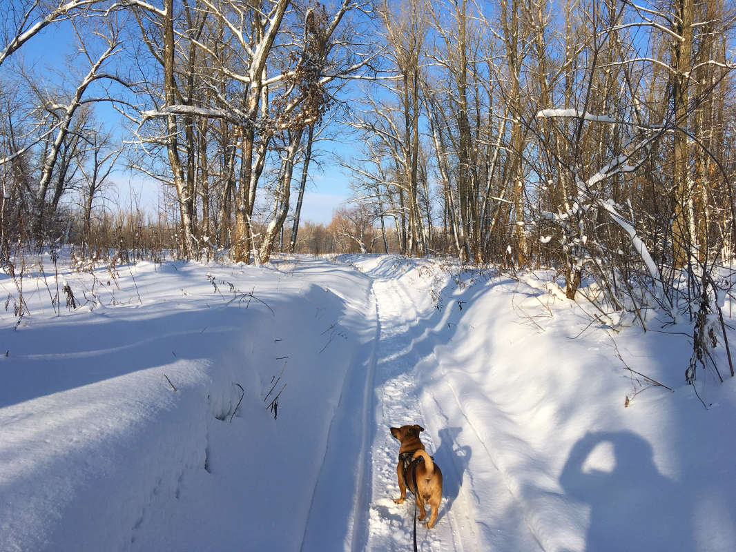 ... ����� ������� �������� �� PhotoGeek.ru #������ ��� �������