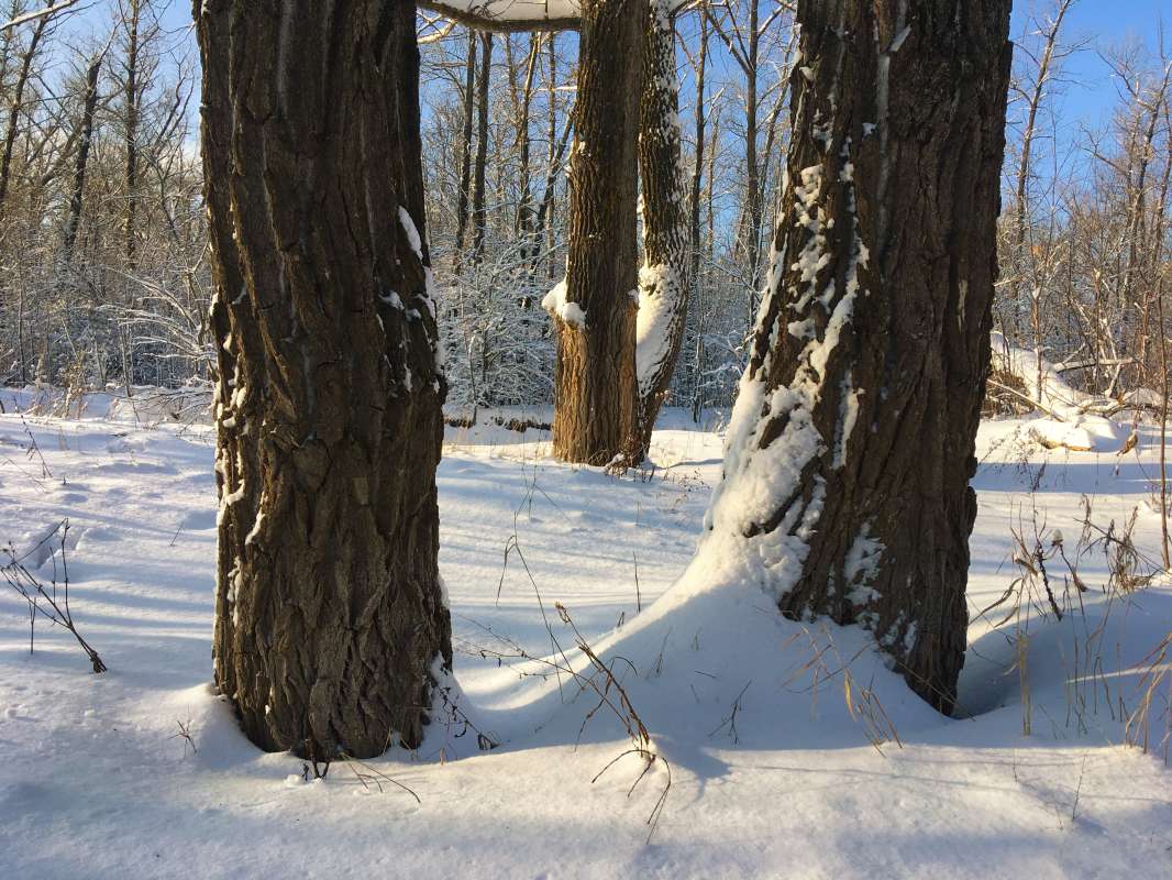 ... ����� ������� �������� �� PhotoGeek.ru #������ ��� �������