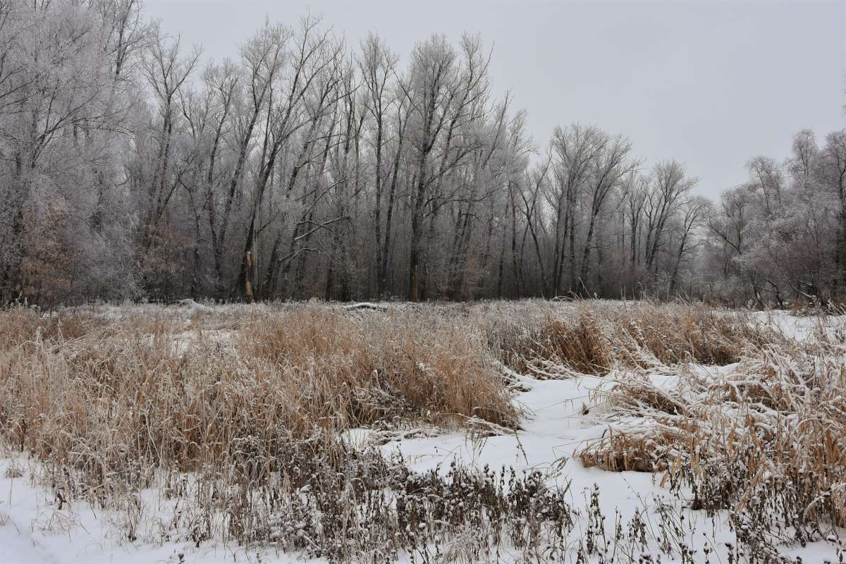 ... ����� ������� �������� �� PhotoGeek.ru #������ ��� �������