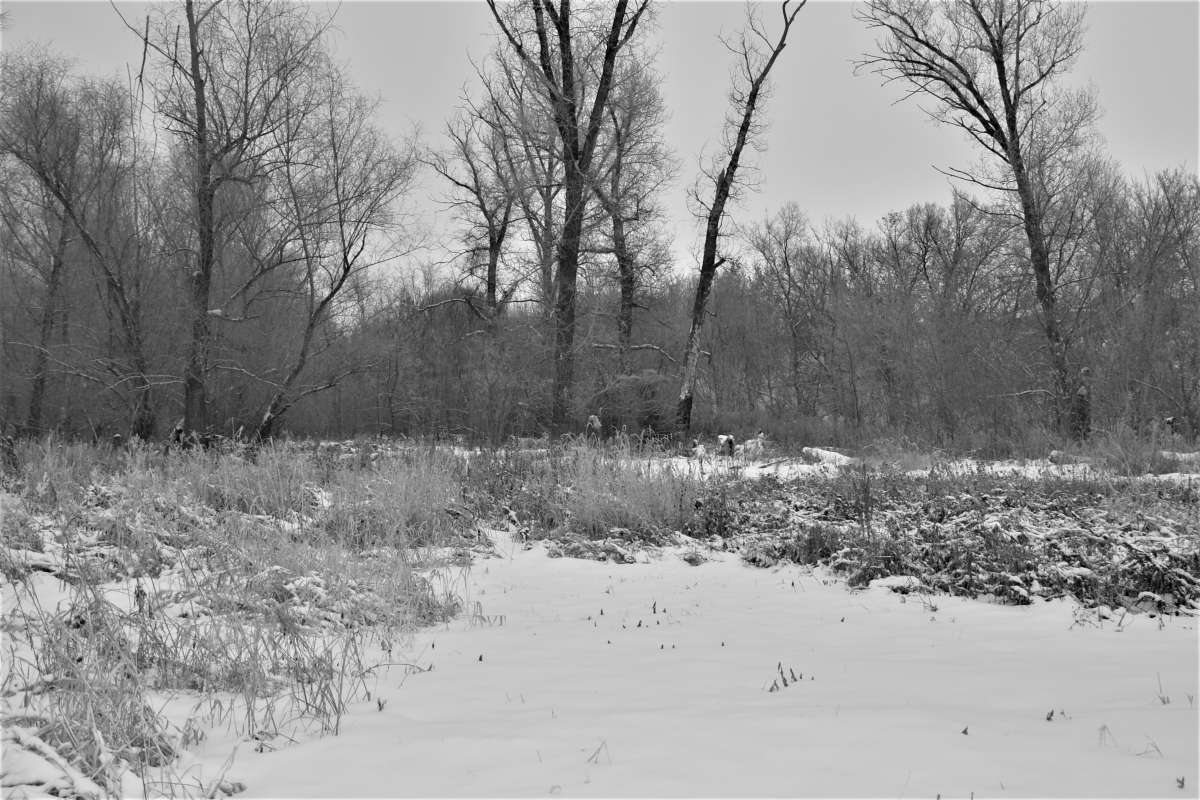 ... ����� ������� �������� �� PhotoGeek.ru #������ ��� �������