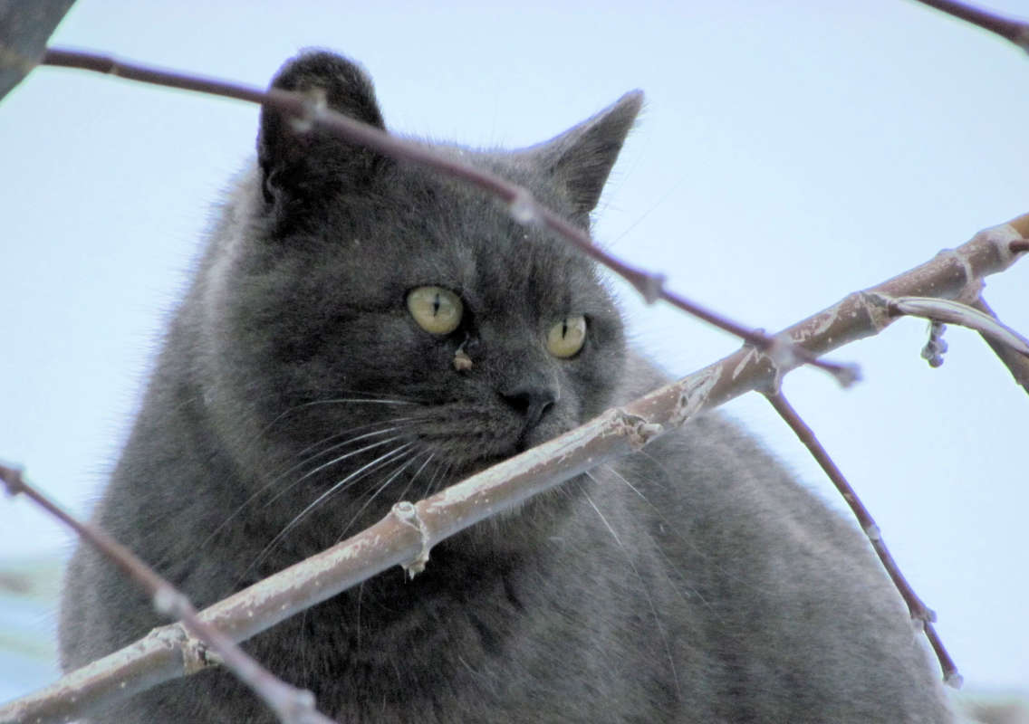 ... ����� ������� �������� �� PhotoGeek.ru #������ ��� �������