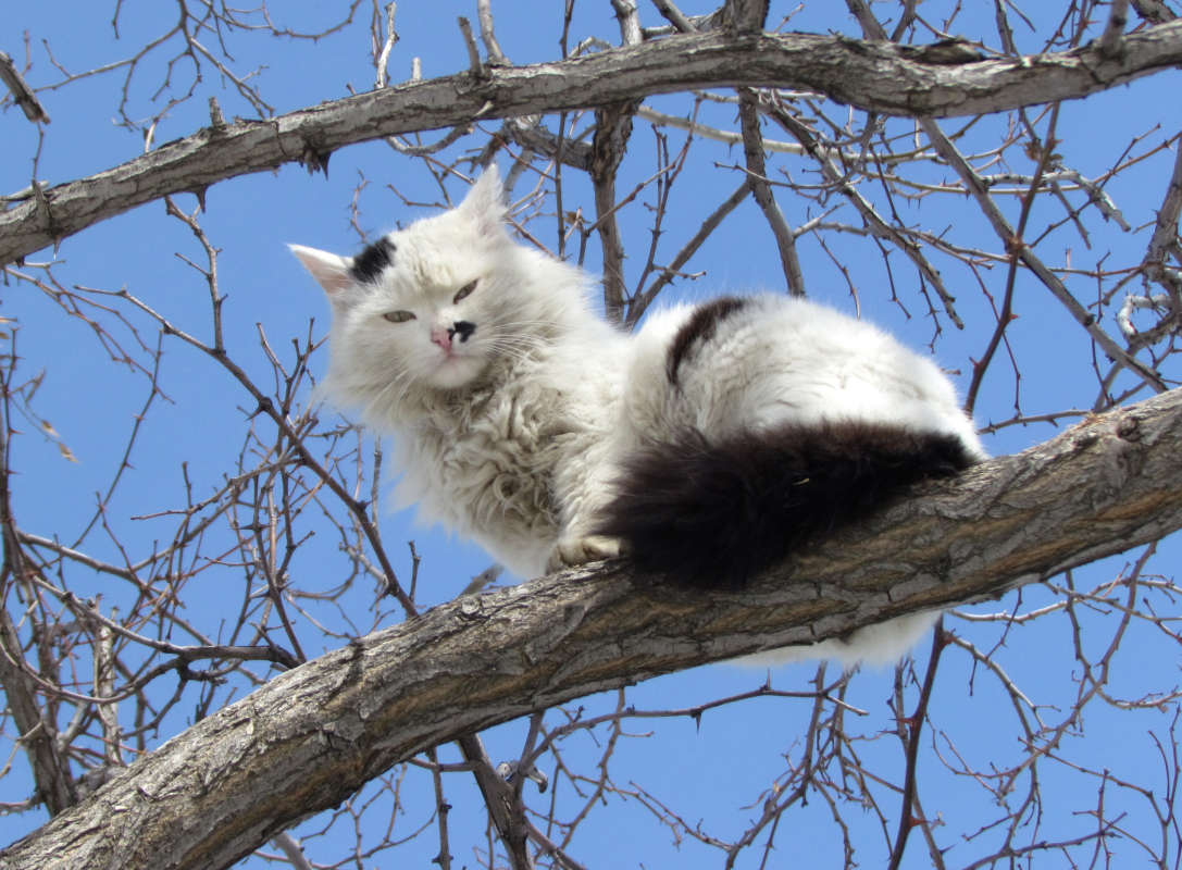 ... ����� ������� �������� �� PhotoGeek.ru #������ ��� �������