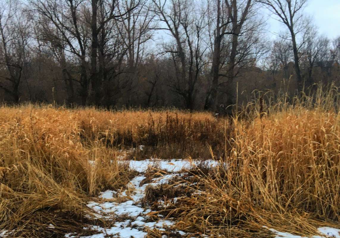 ... ����� ������� �������� �� PhotoGeek.ru #������ ��� �������