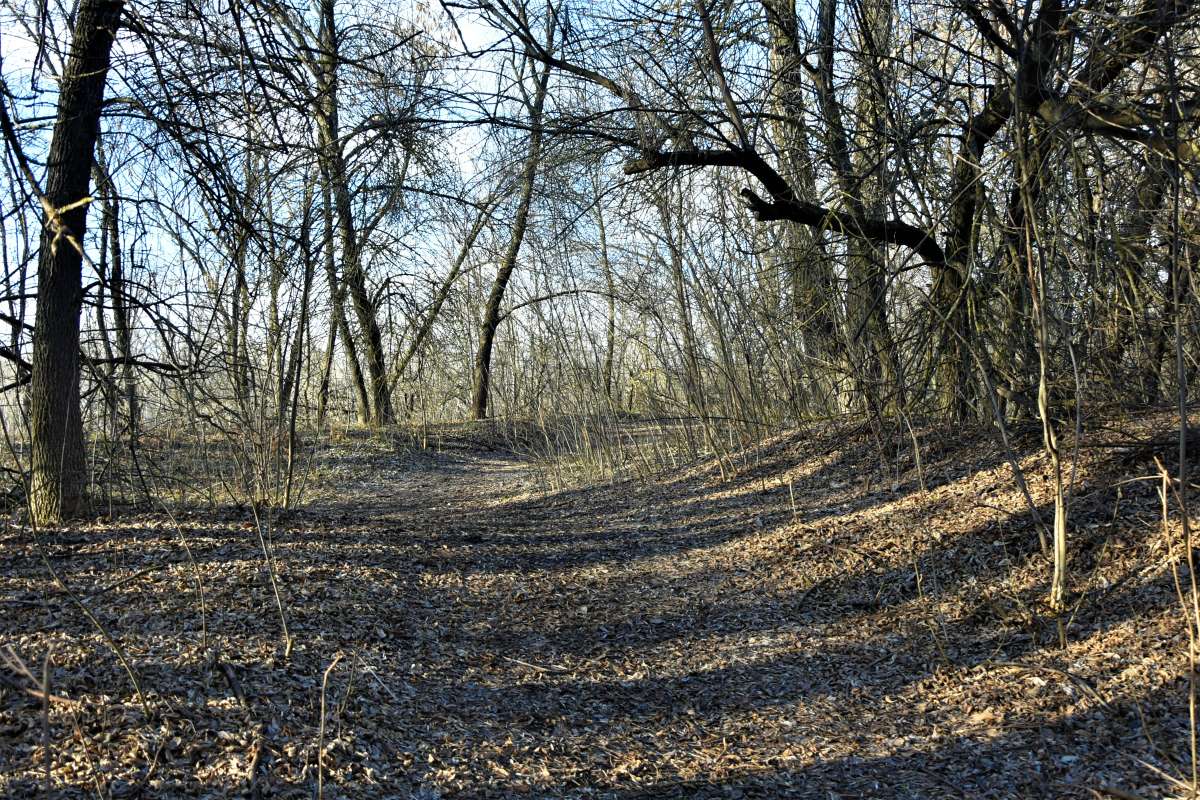 ������� ��������� ����� ������� �������� �� PhotoGeek.ru #������ ��� �������