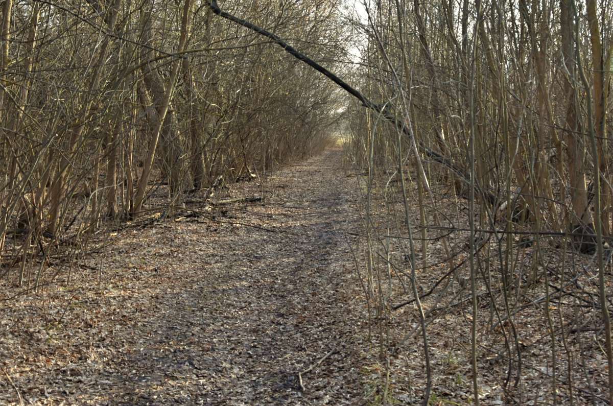 ������� ��������� ����� ������� �������� �� PhotoGeek.ru #������ ��� �������