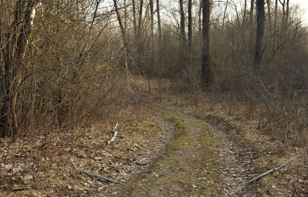 ... ����� ������� �������� �� PhotoGeek.ru #������ ��� �������