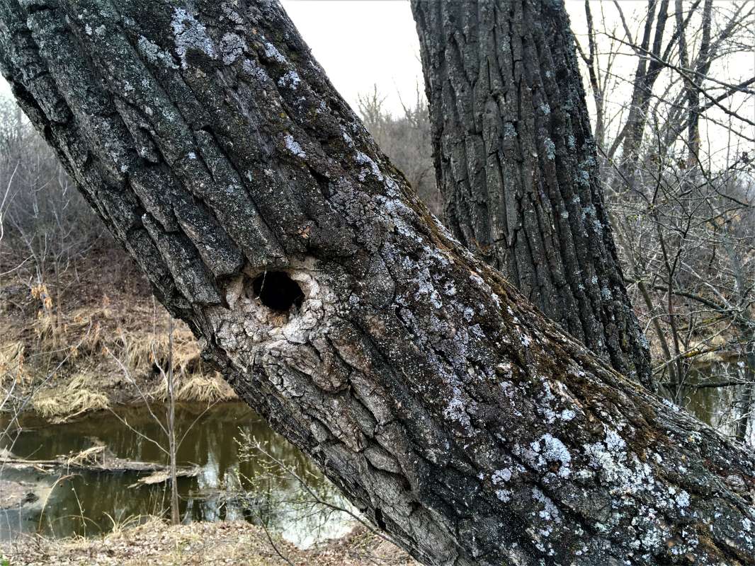 ... ����� ������� �������� �� PhotoGeek.ru #������ ��� �������