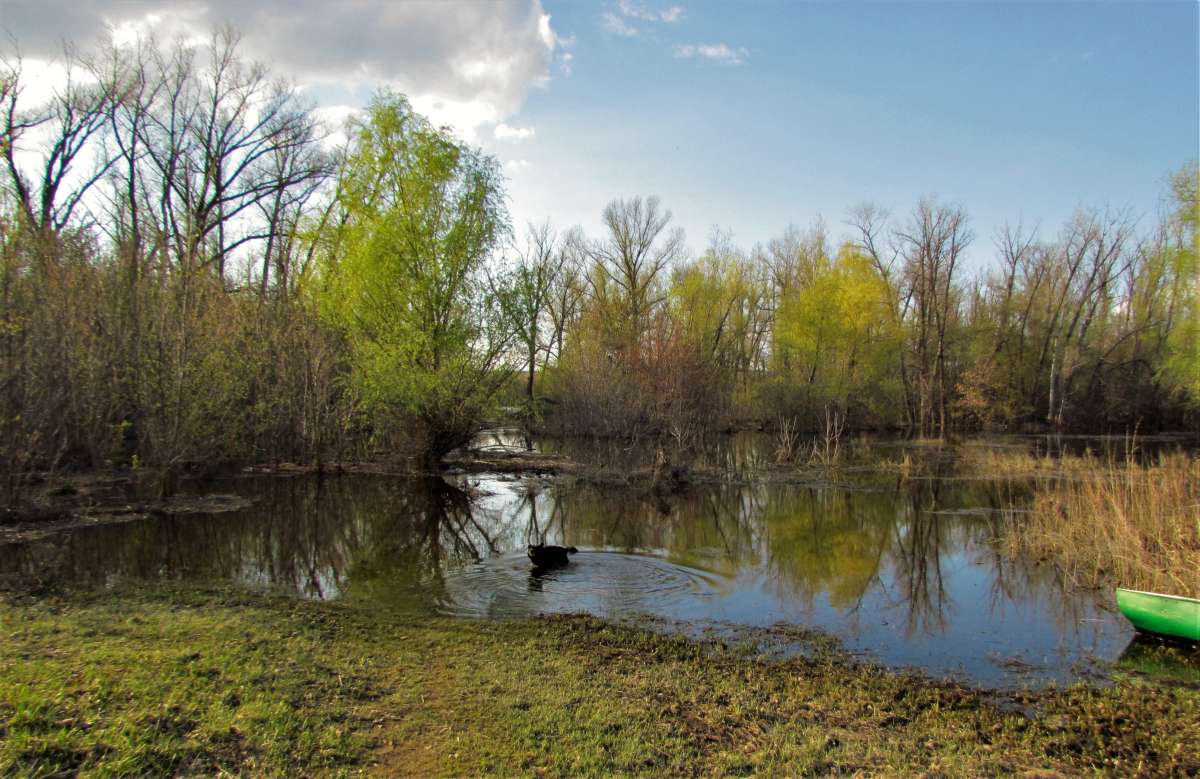 ��������� ����� ������� �������� �� PhotoGeek.ru #������ ��� �������