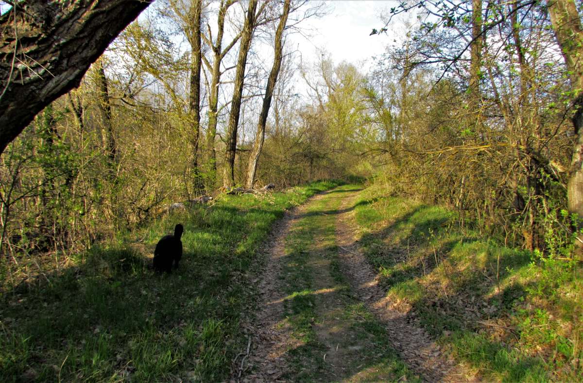 � ���������� ����... ����� ������� �������� �� PhotoGeek.ru #������ ��� �������