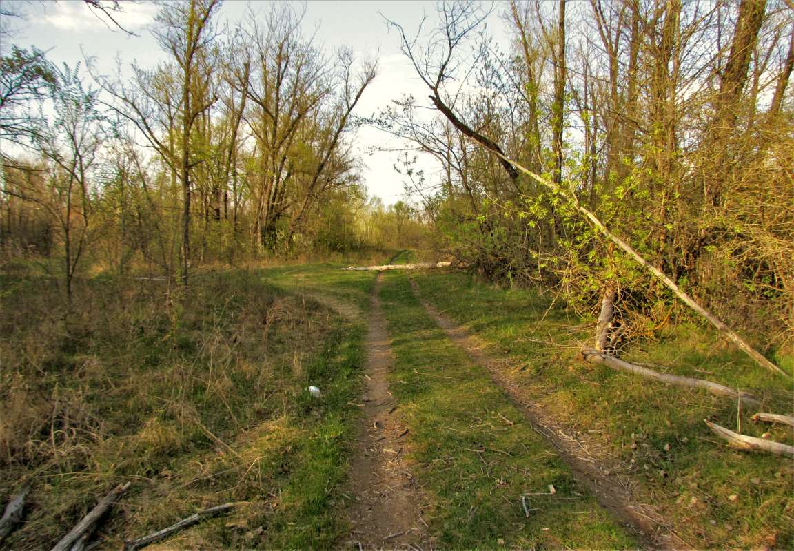 ������� ��������... ����� ������� �������� �� PhotoGeek.ru #������ ��� �������