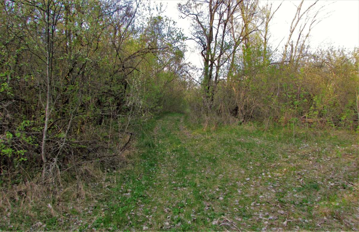 ... ����� ������� �������� �� PhotoGeek.ru #������ ��� �������