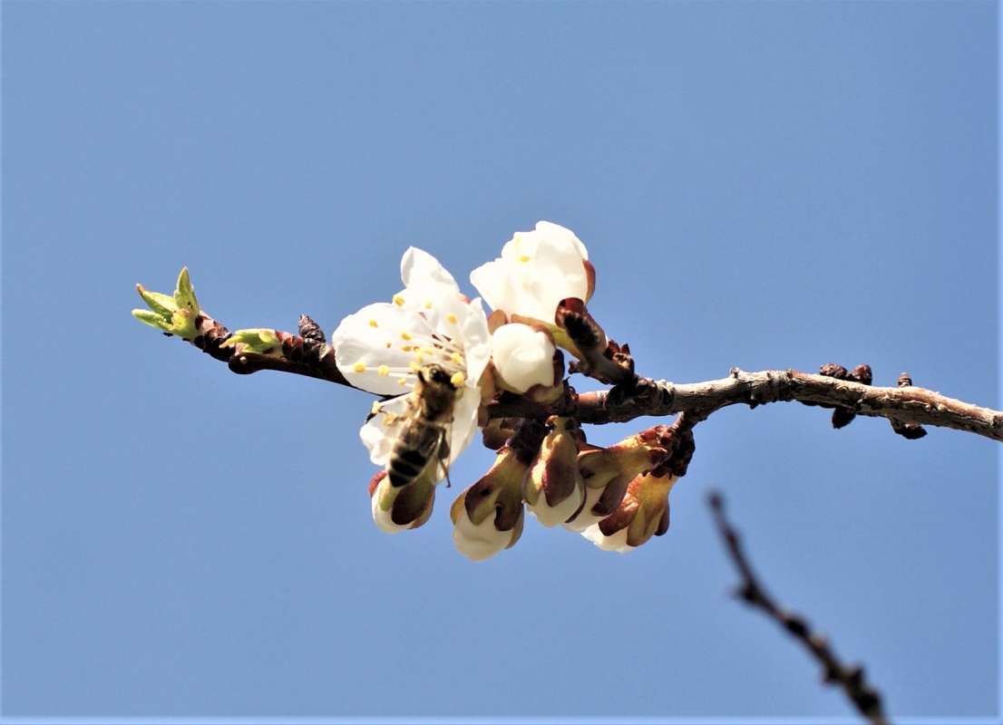 ... ����� ������� �������� �� PhotoGeek.ru #������ ��� �������